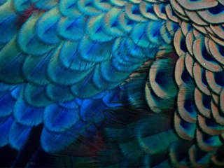 The Hidden Driver of Brand Confidence